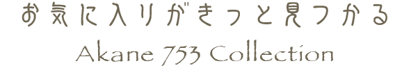 ˎʐ^753RNV